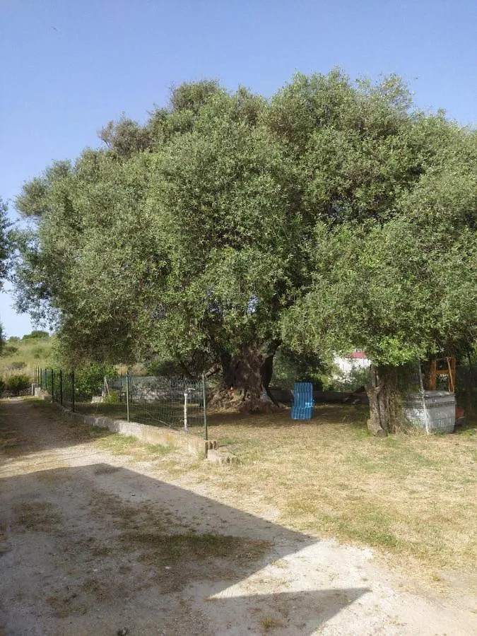 Casa Olea Villa Sorso Holiday home
