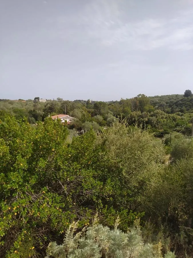 Villa Casa Olea à Sorso