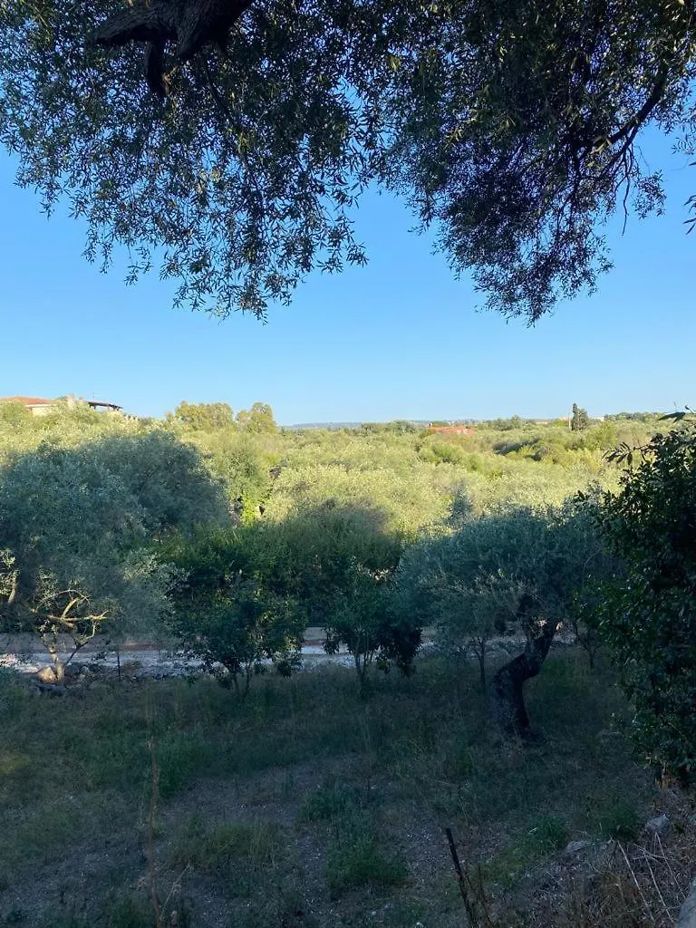 Holiday home Casa Olea Villa Sorso Italy